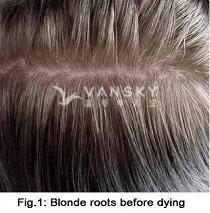 250219140334_Hair-Before Dying-s.jpg